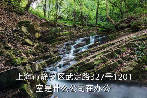 上海市靜安區武定路327號1201室是什么公司在辦公