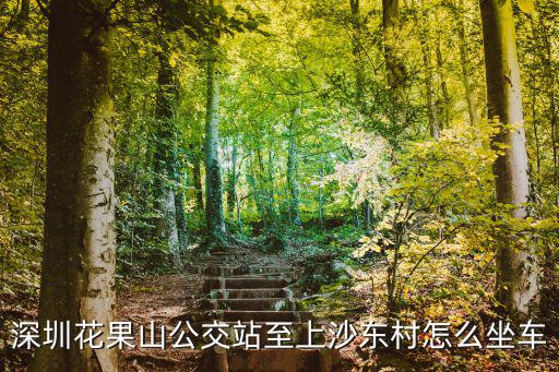 深圳花果山公交站至上沙東村怎么坐車
