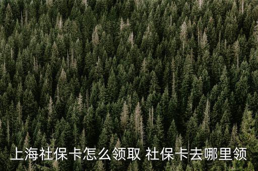 上海社?？ㄔ趺搭I(lǐng)取 社?？ㄈツ睦镱I(lǐng)