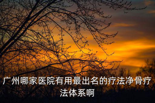 廣州哪家醫院有用最出名的療法凈骨療法體系啊