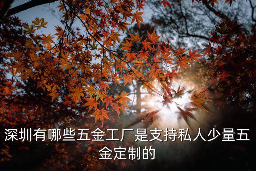 深圳有哪些五金工廠是支持私人少量五金定制的