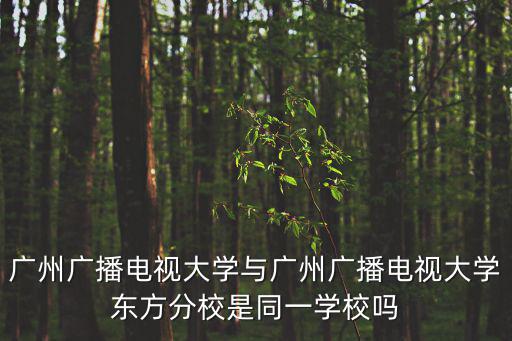 廣州廣播電視大學與廣州廣播電視大學東方分校是同一學校嗎