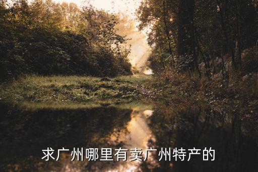 廣州特產(chǎn)去哪買，廣州哪里買特產(chǎn)最地道