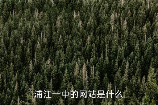 浦江一中的網站是什么