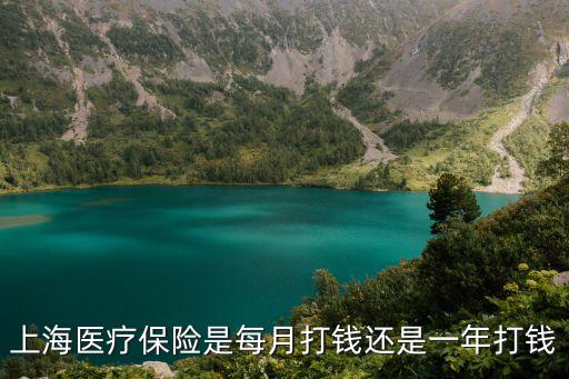 上海醫療保險是每月打錢還是一年打錢