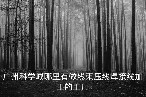 廣州科學(xué)城哪里有做線束壓線焊接線加工的工廠