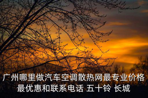 廣州哪里做汽車空調散熱網最專業價格最優惠和聯系電話 五十鈴 長城