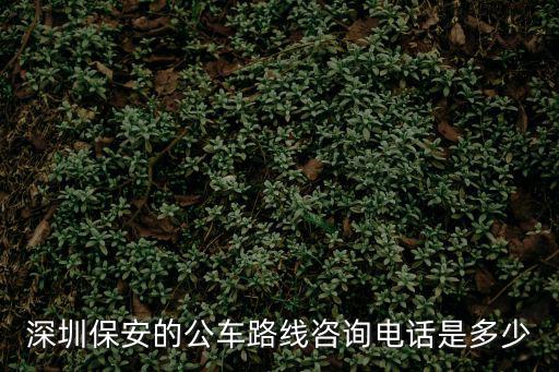 深圳保安的公車路線咨詢電話是多少