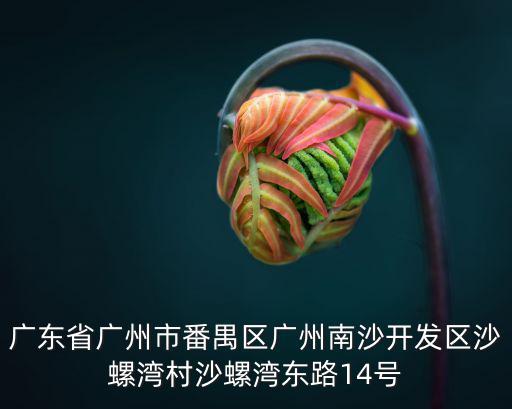 廣東省廣州市番禺區廣州南沙開發區沙螺灣村沙螺灣東路14號