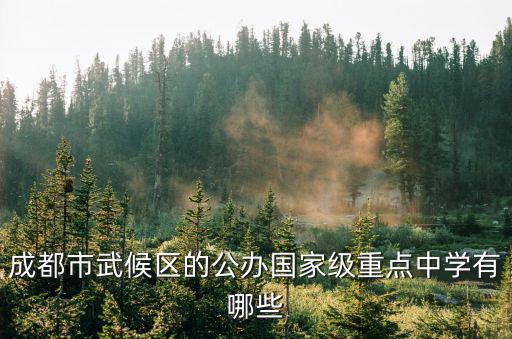 成都市武候區的公辦國家級重點中學有哪些