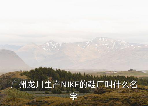 廣州龍川生產(chǎn)NIKE的鞋廠叫什么名字