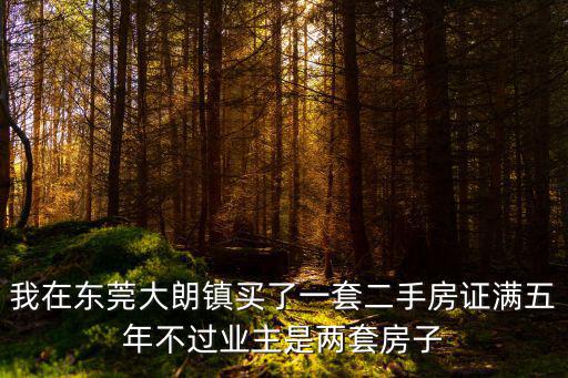 我在東莞大朗鎮買了一套二手房證滿五年不過業主是兩套房子