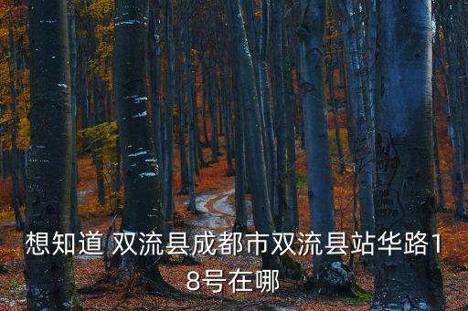 成都市雙流區護照辦理地點，成都在哪辦護照需要帶什么東西