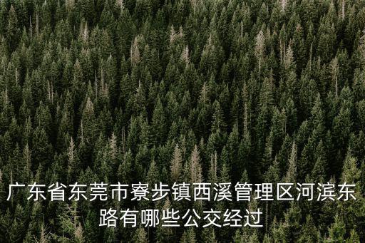 東莞公交a10，地殼酒吧怎么去