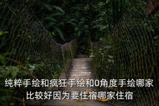 純粹手繪和瘋狂手繪和0角度手繪哪家比較好因為要住宿哪家住宿