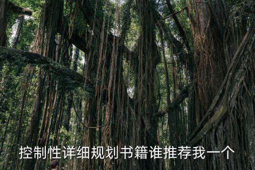 上海市控制性規劃，控制性詳細規劃書籍誰推薦我一個