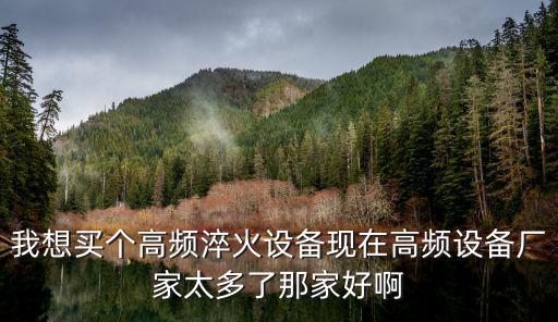 東莞高頻設備，高頻機生產廠家