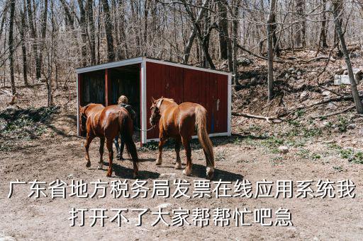 廣州市地方稅務(wù)局發(fā)票在線系統(tǒng)，廣東省地方稅務(wù)局發(fā)票在線應(yīng)用系統(tǒng) 怎么修改或再添加操作員