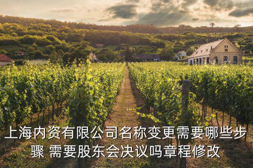 上海內資有限公司名稱變更需要哪些步驟 需要股東會決議嗎章程修改