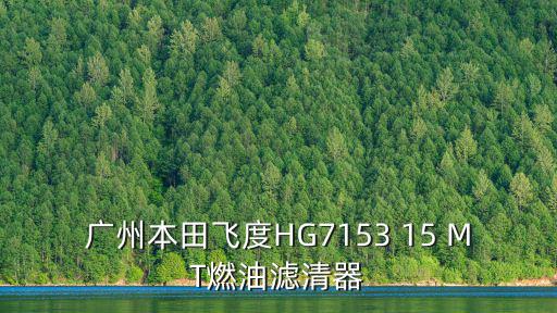 廣州本田飛度HG7153 15 MT燃油濾清器