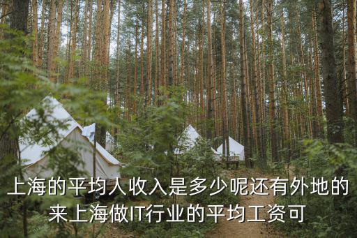 上海的平均人收入是多少呢還有外地的來上海做IT行業(yè)的平均工資可