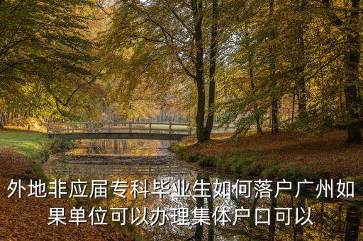 外地非應屆專科畢業生如何落戶廣州如果單位可以辦理集體戶口可以