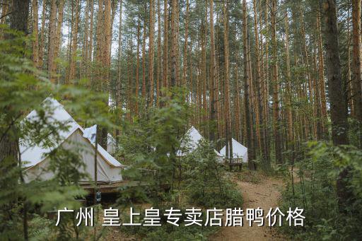 廣州特產皇上皇，珠海哪里有著名廣州特產皇上皇休閑食品什錦肉脯500克賣啊