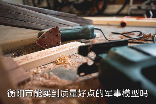 深圳軍事模型生產廠家，麻城市有老舵手軍事模型店嗎