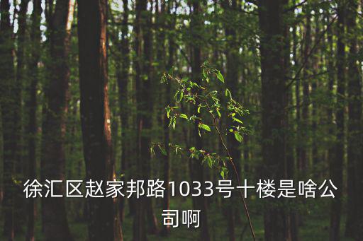 上海市浦程房地產(chǎn)公司，上海南京西路580號南證大廈3701室是哪家公司