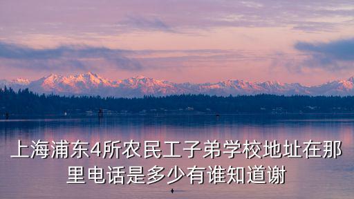 上海浦東4所農民工子弟學校地址在那里電話是多少有誰知道謝