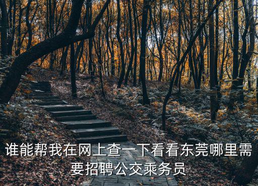 誰(shuí)能幫我在網(wǎng)上查一下看看東莞哪里需要招聘公交乘務(wù)員