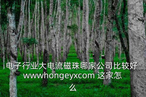電子行業(yè)大電流磁珠哪家公司比較好 wwwhongeyxcom 這家怎么