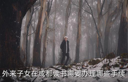 外來子女在成都讀書需要辦理哪些手續
