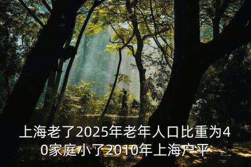 上海市人口老齡化情況，上海老了2025年老年人口比重為40家庭小了2010年上海戶平