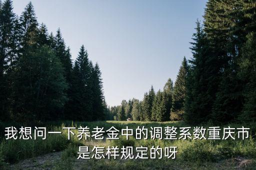 我想問(wèn)一下養(yǎng)老金中的調(diào)整系數(shù)重慶市是怎樣規(guī)定的呀