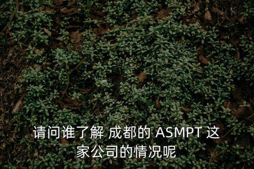 請問誰了解 成都的 ASMPT 這家公司的情況呢
