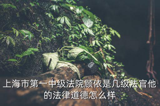 上海市第一中級法院顧依是幾級法官他的法律道德怎么樣