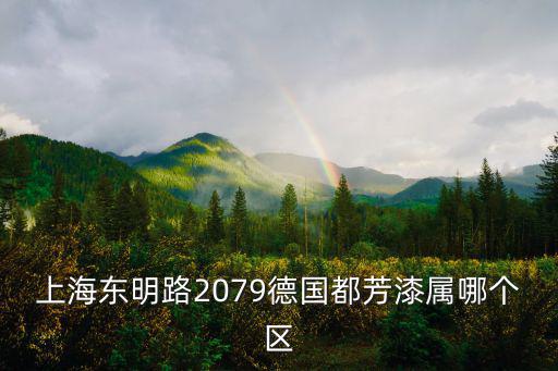 上海東明路2079德國都芳漆屬哪個區(qū)