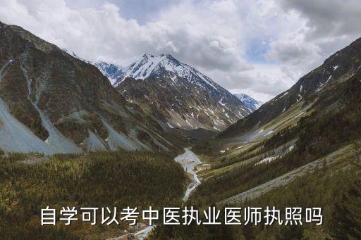 自學可以考中醫執業醫師執照嗎