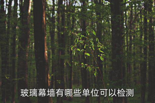 玻璃幕墻有哪些單位可以檢測