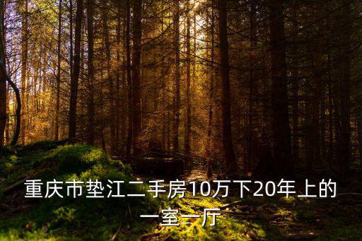 重慶市墊江二手房10萬下20年上的一室一廳
