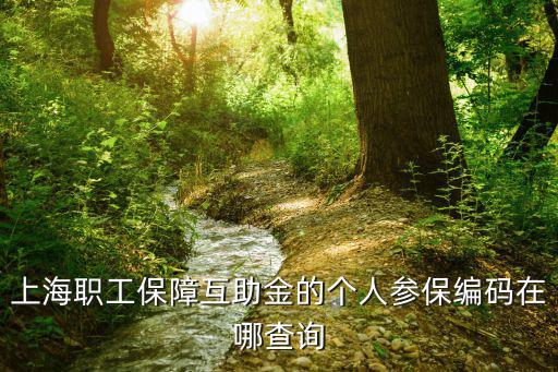 上海職工保障互助金的個人參保編碼在哪查詢