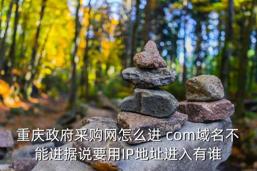 重慶政府采購網怎么進 com域名不能進據說要用IP地址進入有誰