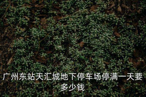廣州東站天匯城地下停車場停滿一天要多少錢