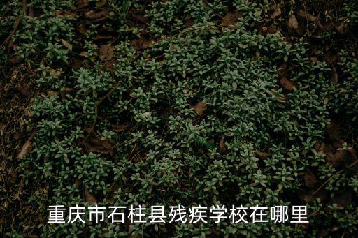 重慶市石柱縣殘疾學校在哪里