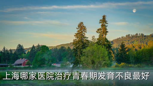 上海哪家醫院治療青春期發育不良最好