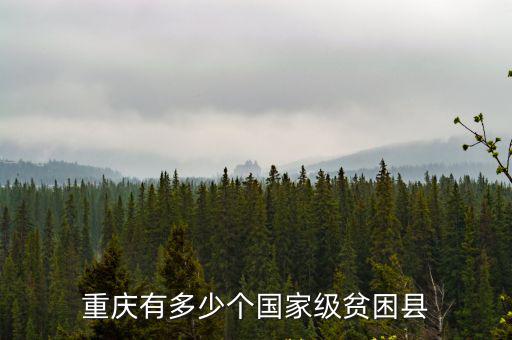 重慶有多少個國家級貧困縣