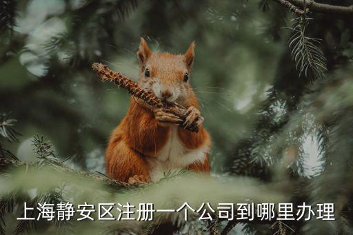 上海靜安區注冊一個公司到哪里辦理
