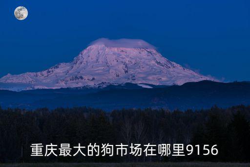 重慶最大的狗市場在哪里9156