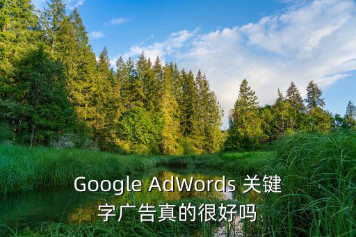 Google AdWords 關(guān)鍵字廣告真的很好嗎